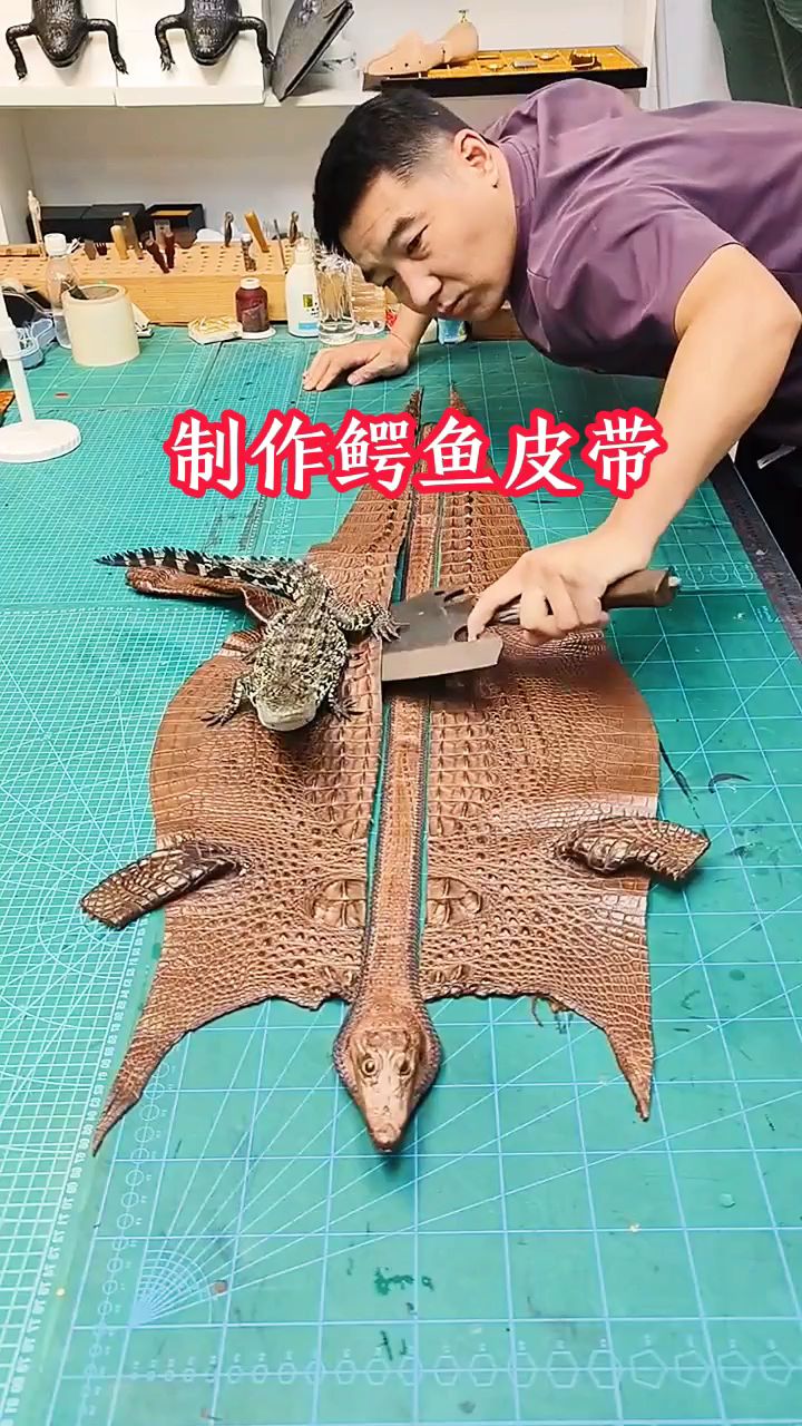 男子制作鳄鱼皮带