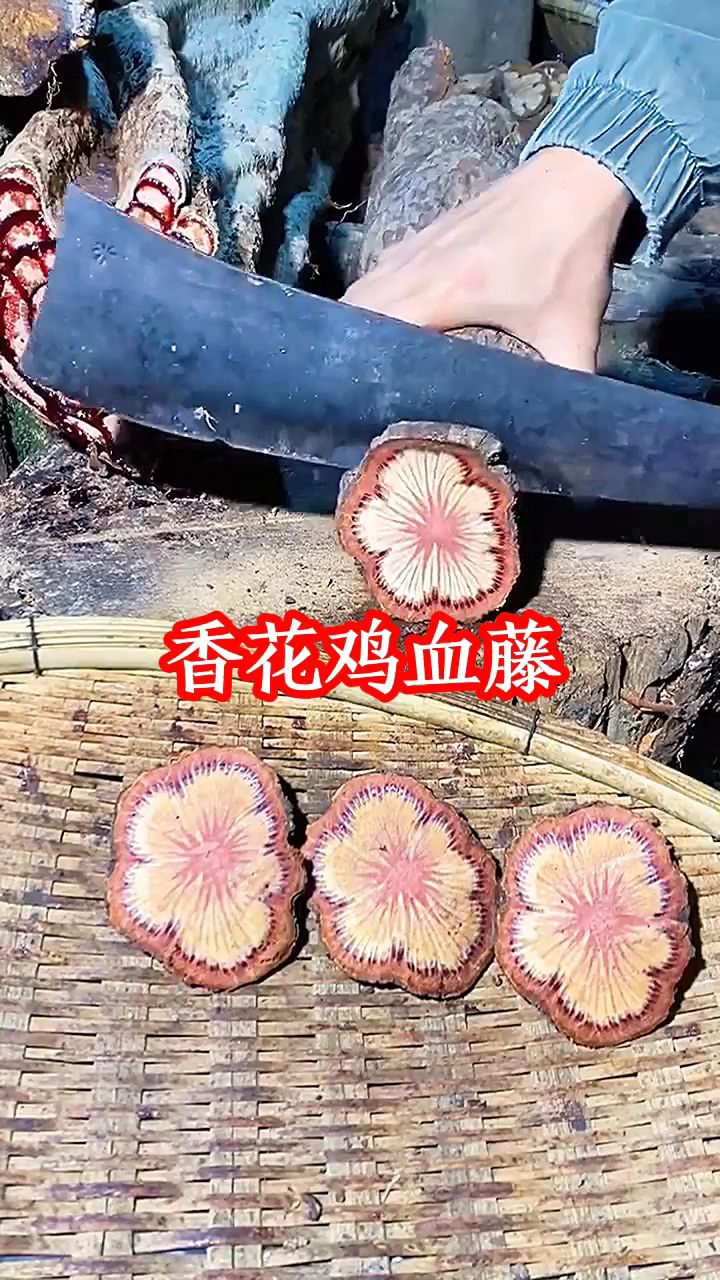 香花鸡血藤,非常漂亮