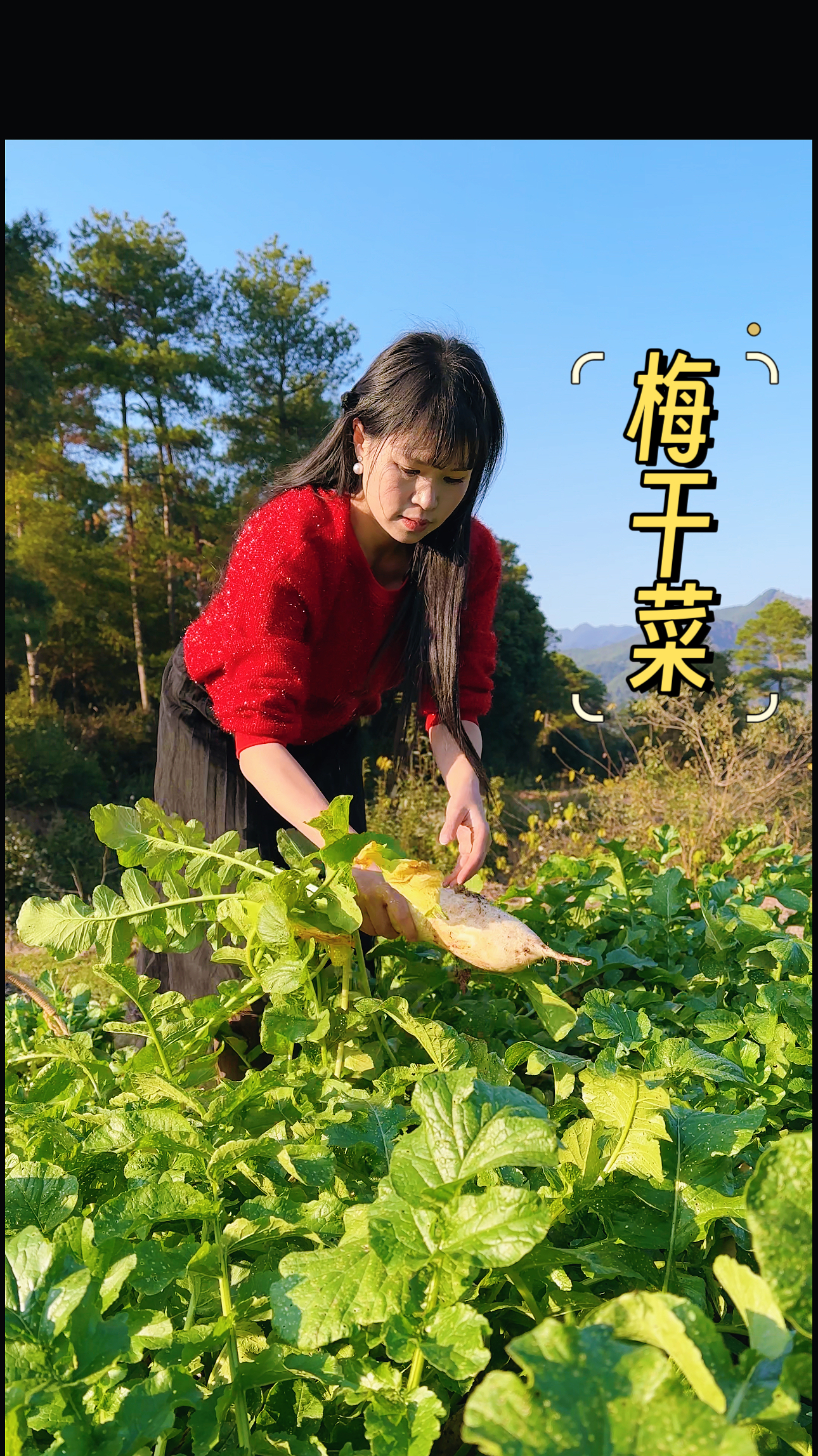 听说三蒸三晒的梅干菜特别香,亲自尝过才懂这滋味