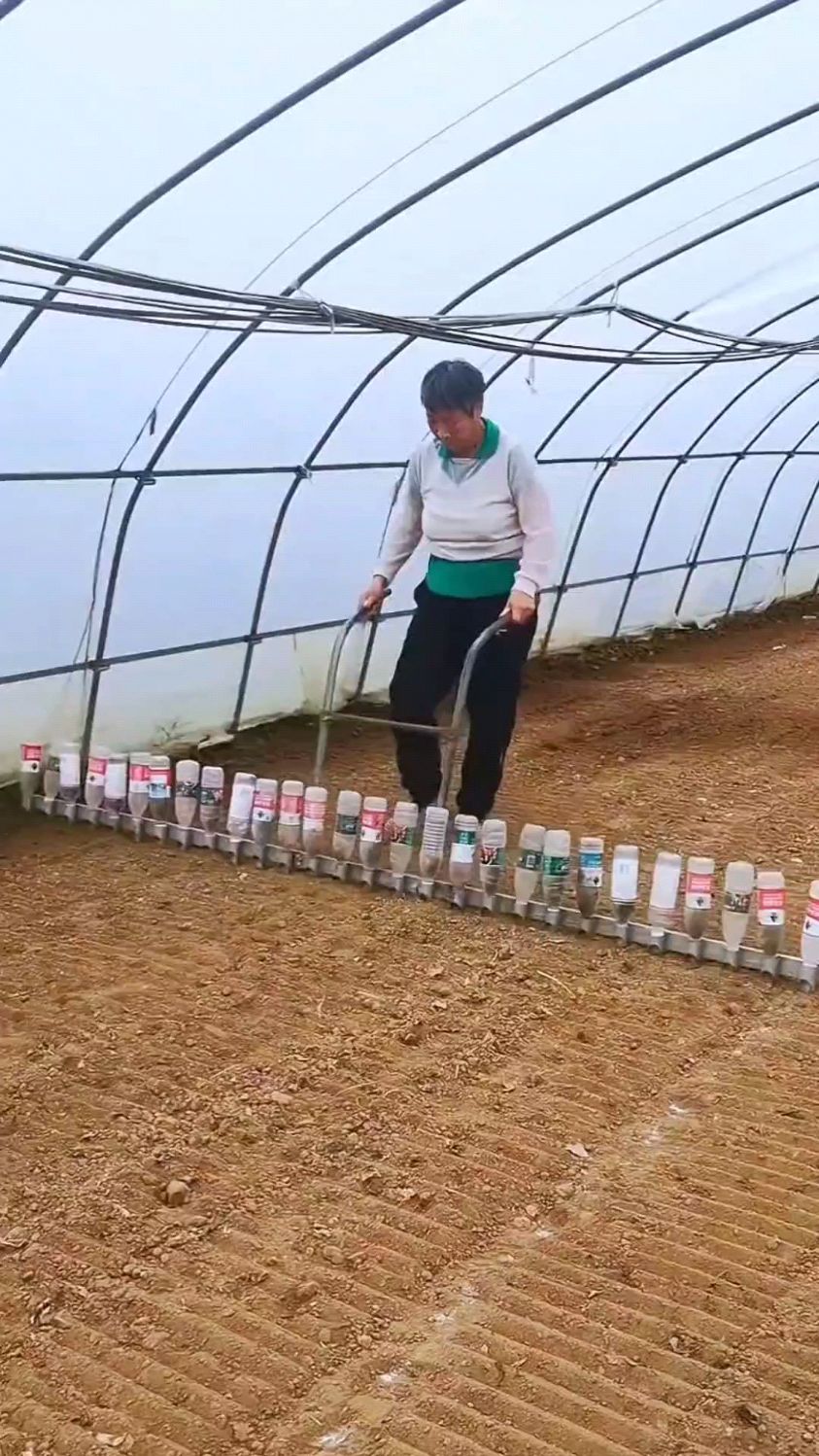 农人用空瓶子种菜籽