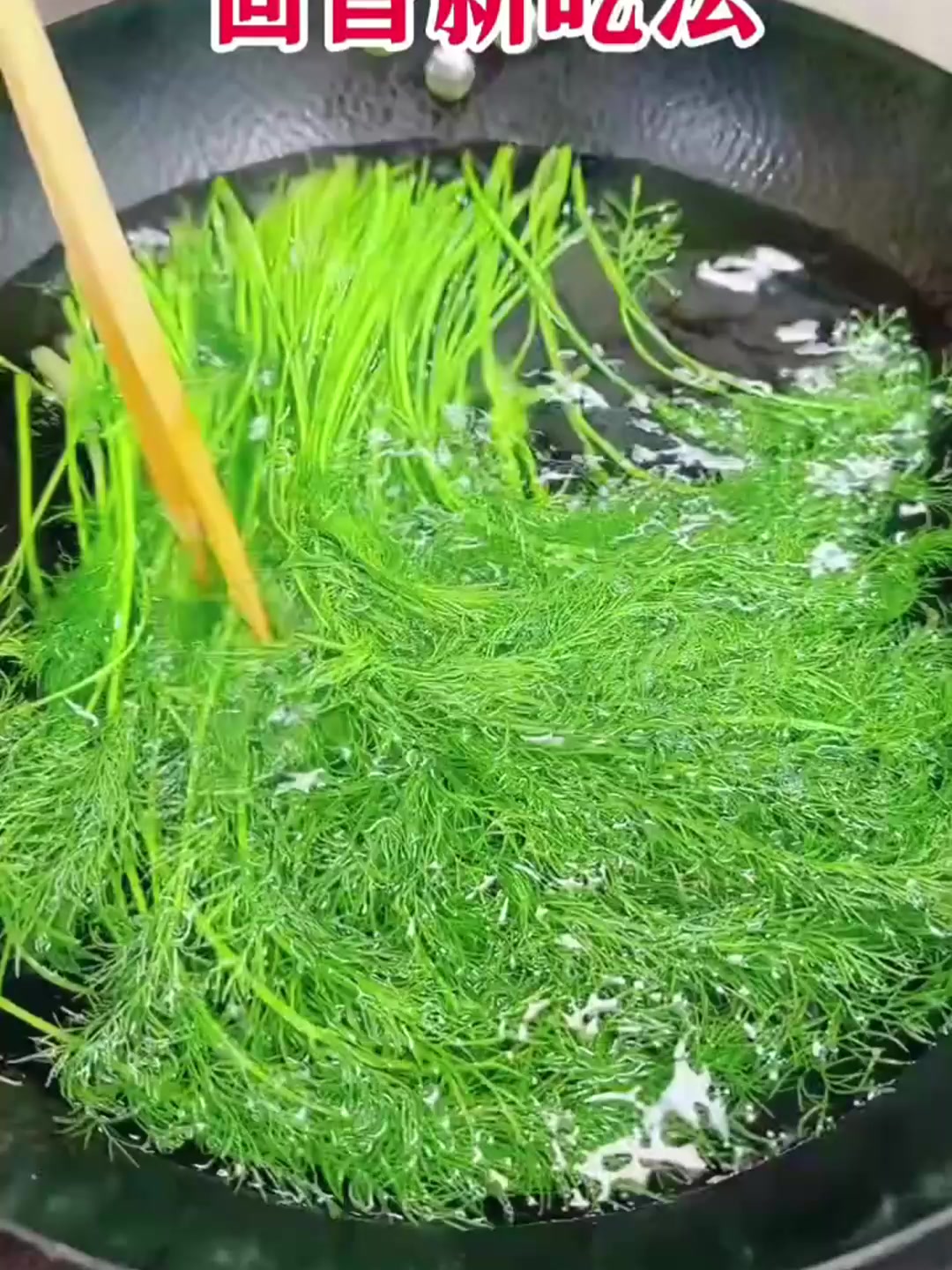 解锁茴香最好吃的新做法!