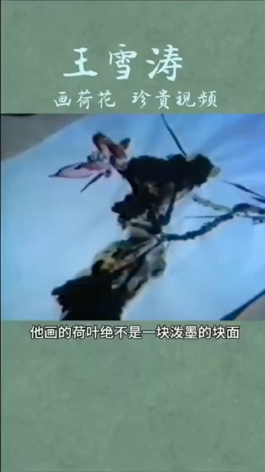 王雪涛画荷花珍贵视频