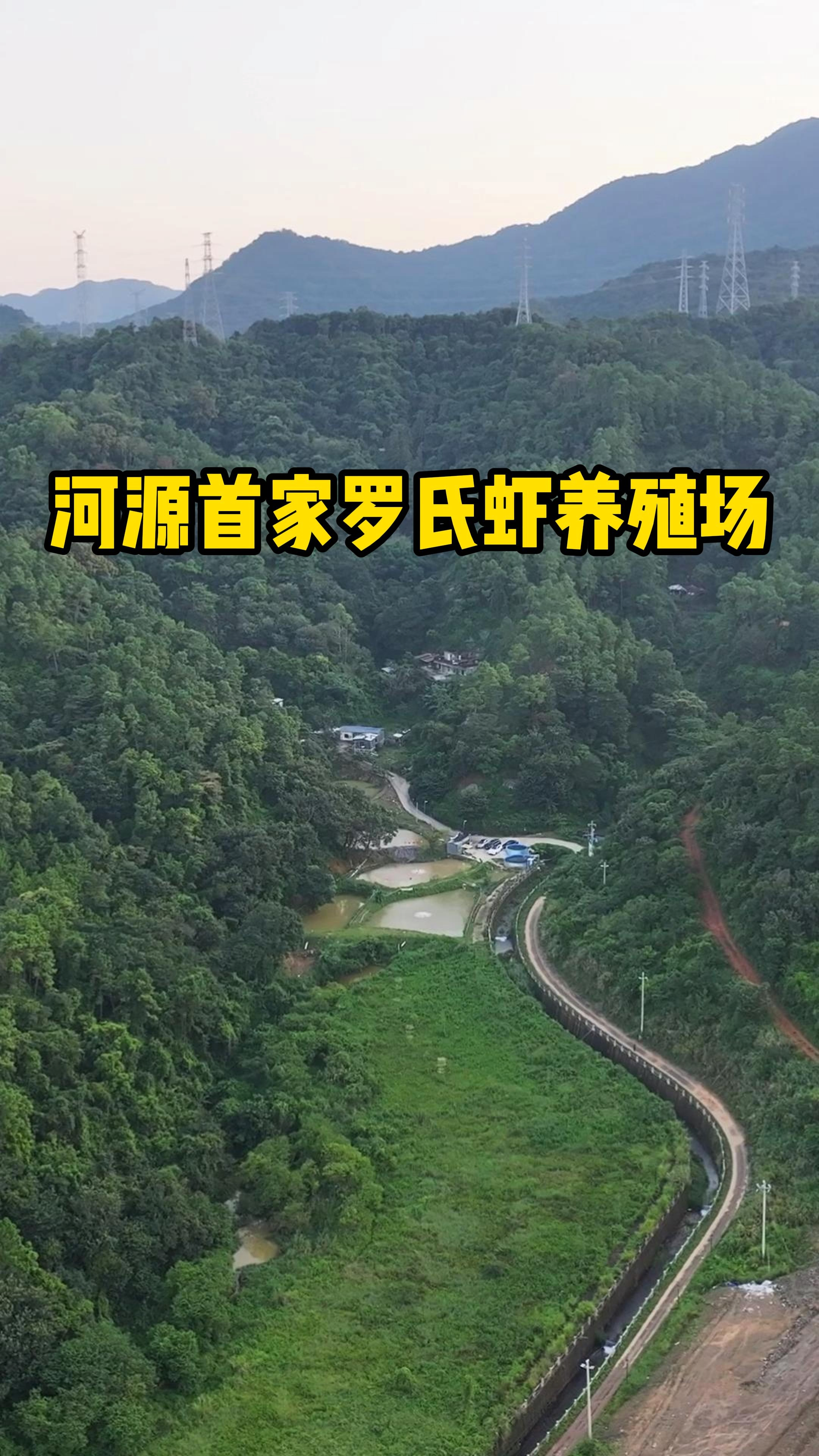 广东一小伙子,花光全部积蓄,在深山养虾