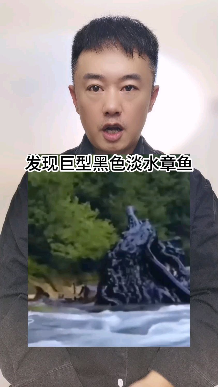 这是不是一种雨林淡水章鱼