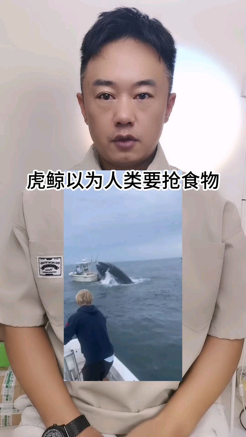 虎鲸以为人类要抢食