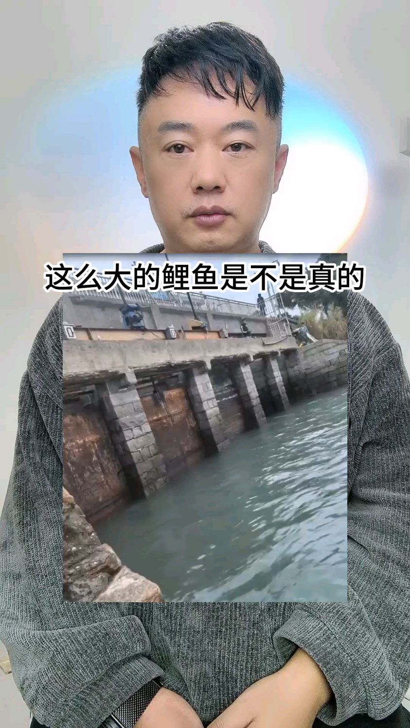 这么大的鲤鱼是不是真的