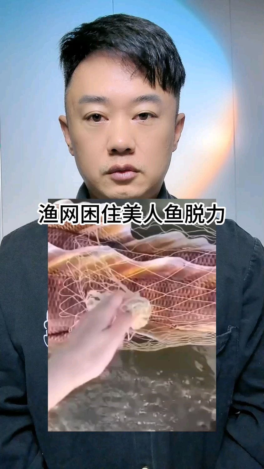 渔网困住美人鱼导致脱力