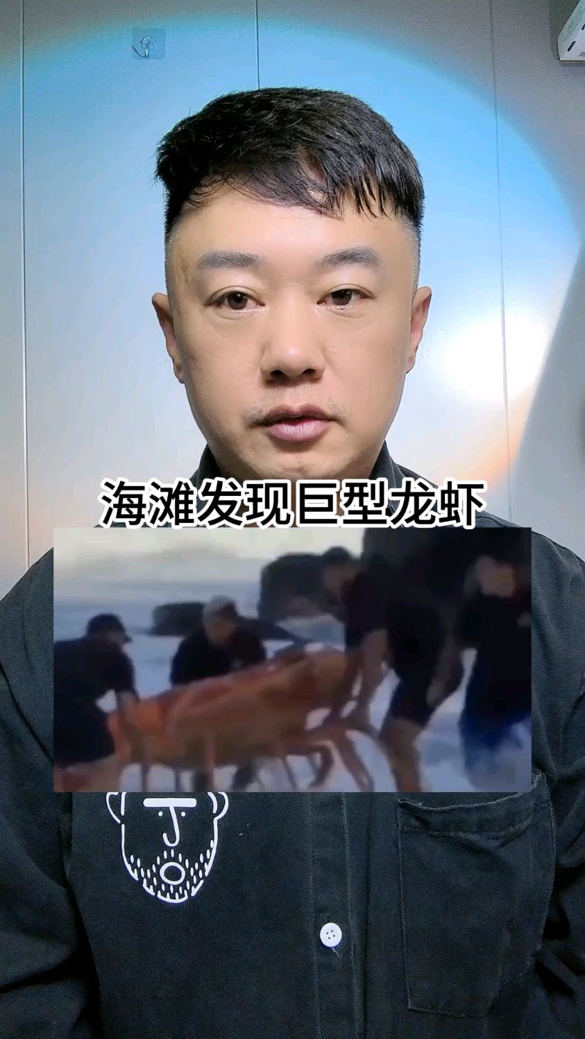 海滩发现巨型龙虾