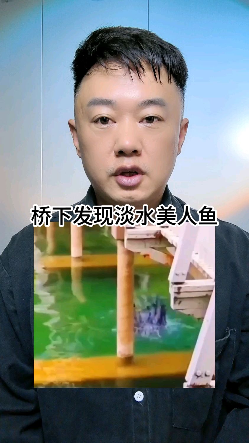 桥下发现淡水美人鱼