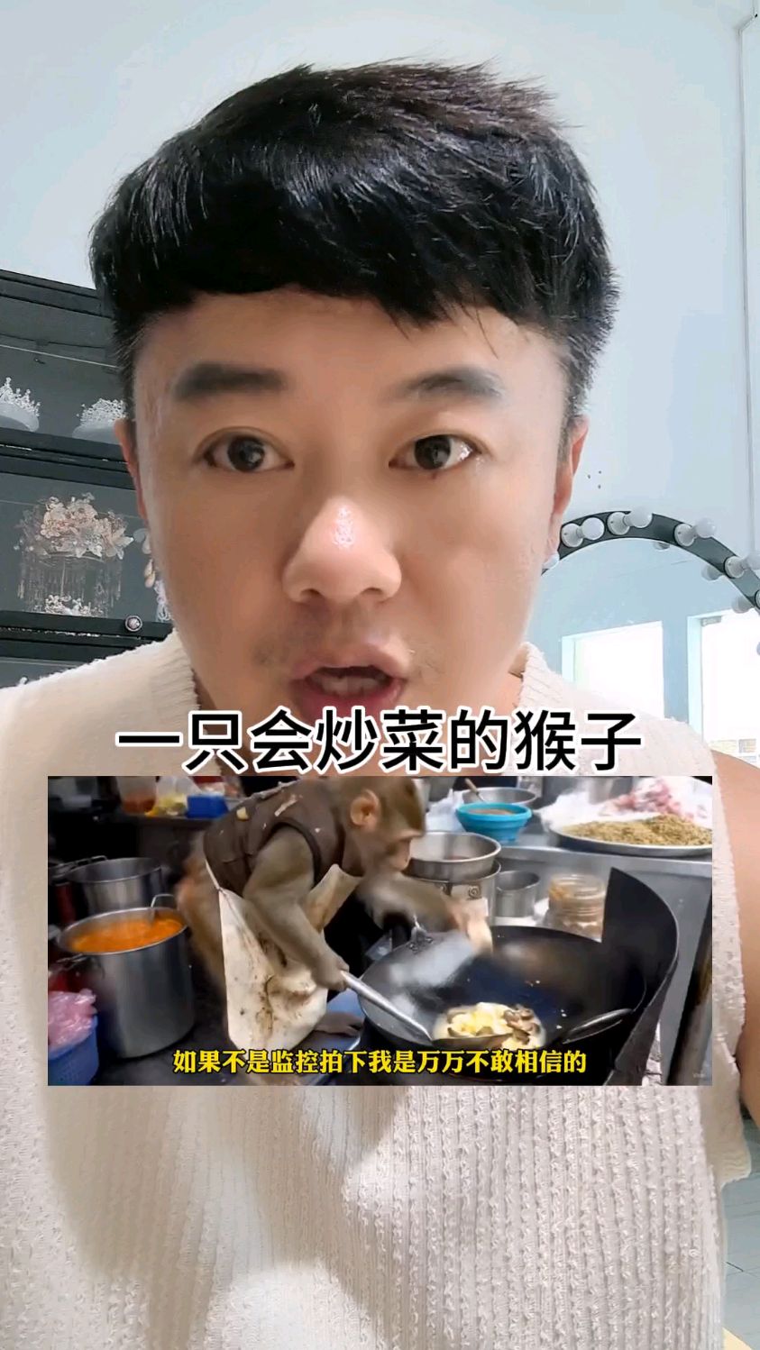 一只会炒菜的猴子