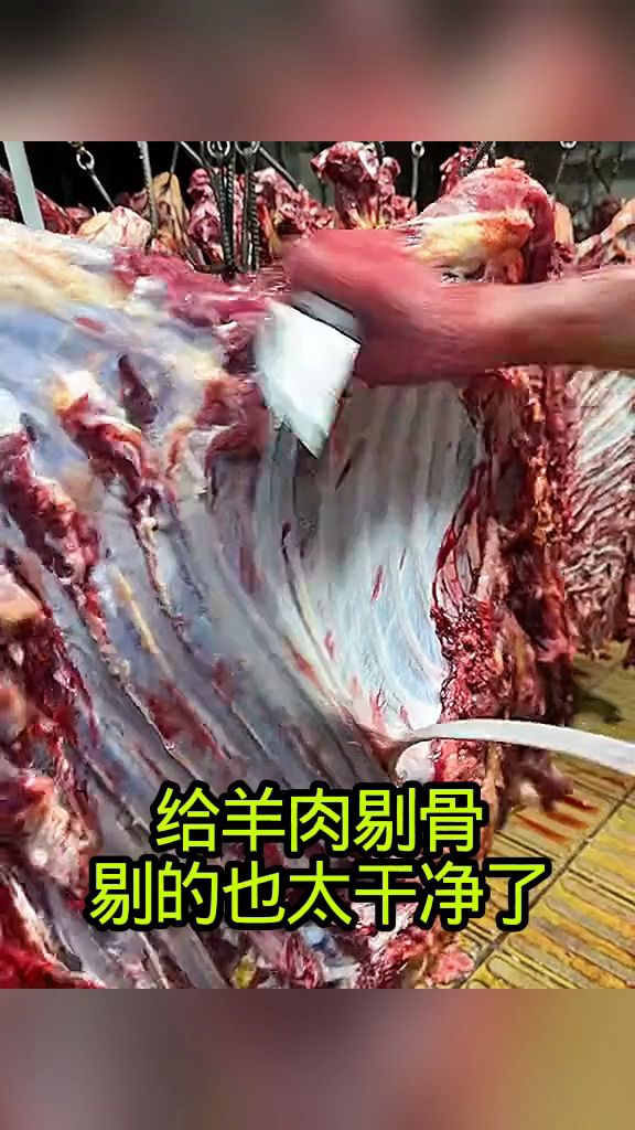 给羊肉剔骨,剔的也太干净了!