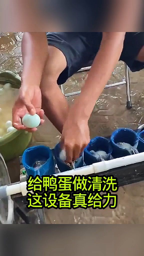 给鸭蛋做清洗，这设备真给力！