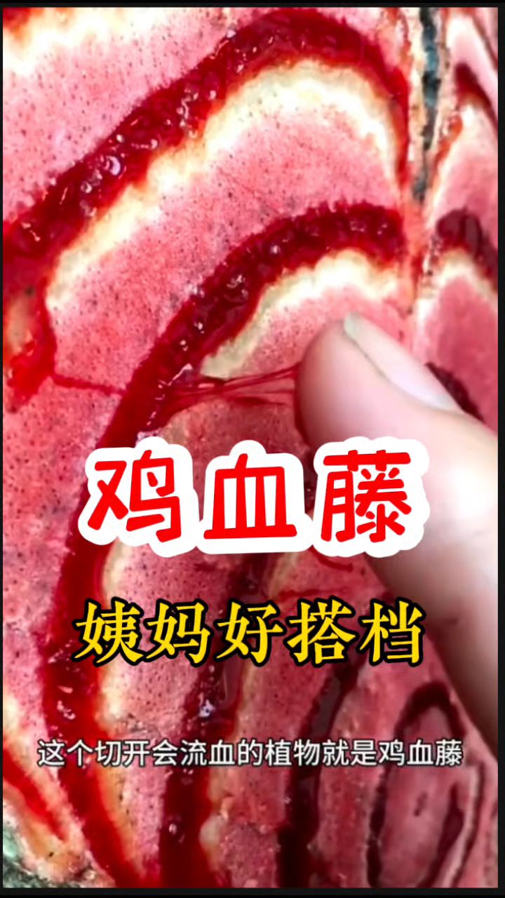 姨妈福音[鸡血藤煮水]