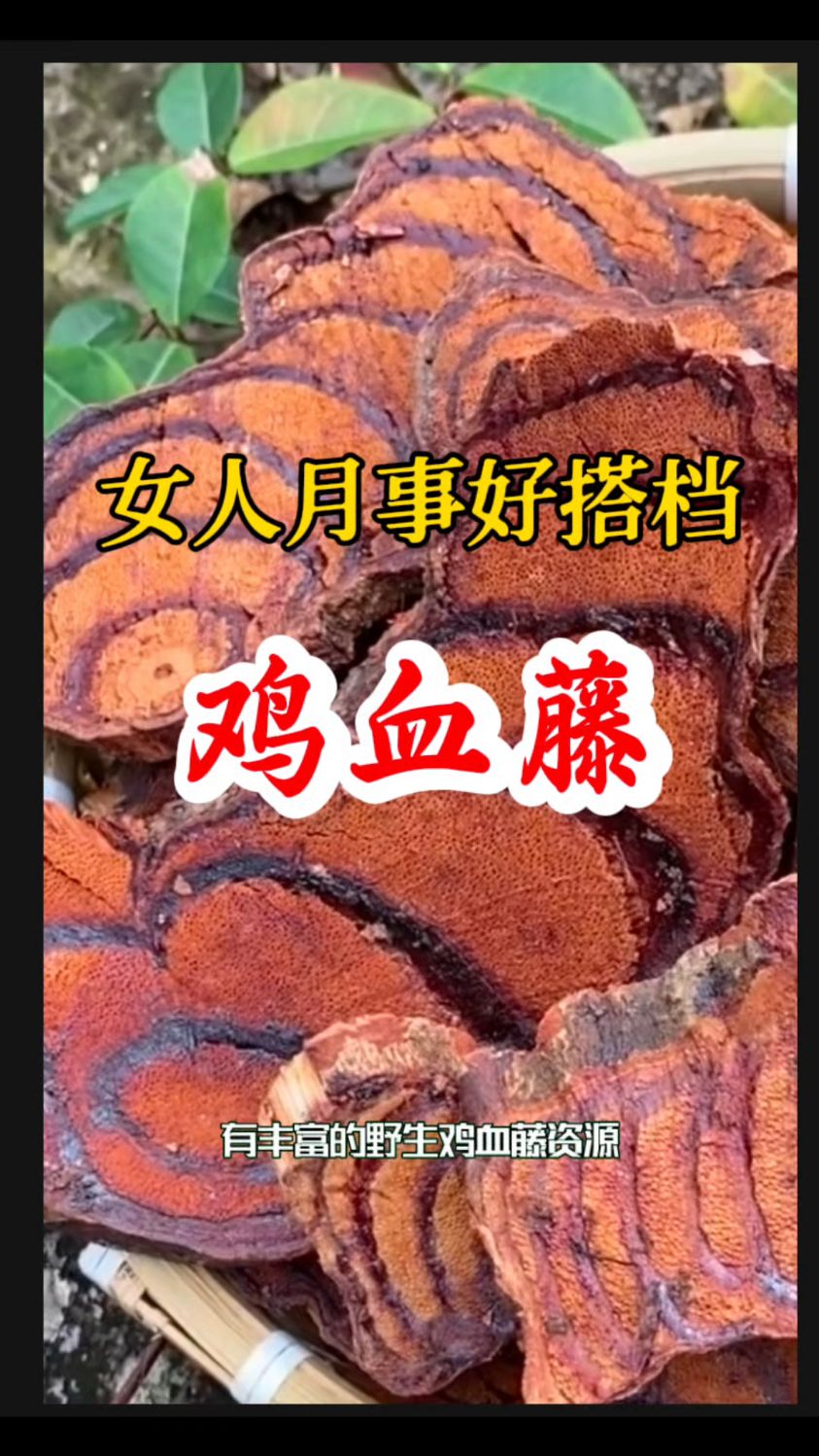 【鸡血藤】女人“姨妈”福音