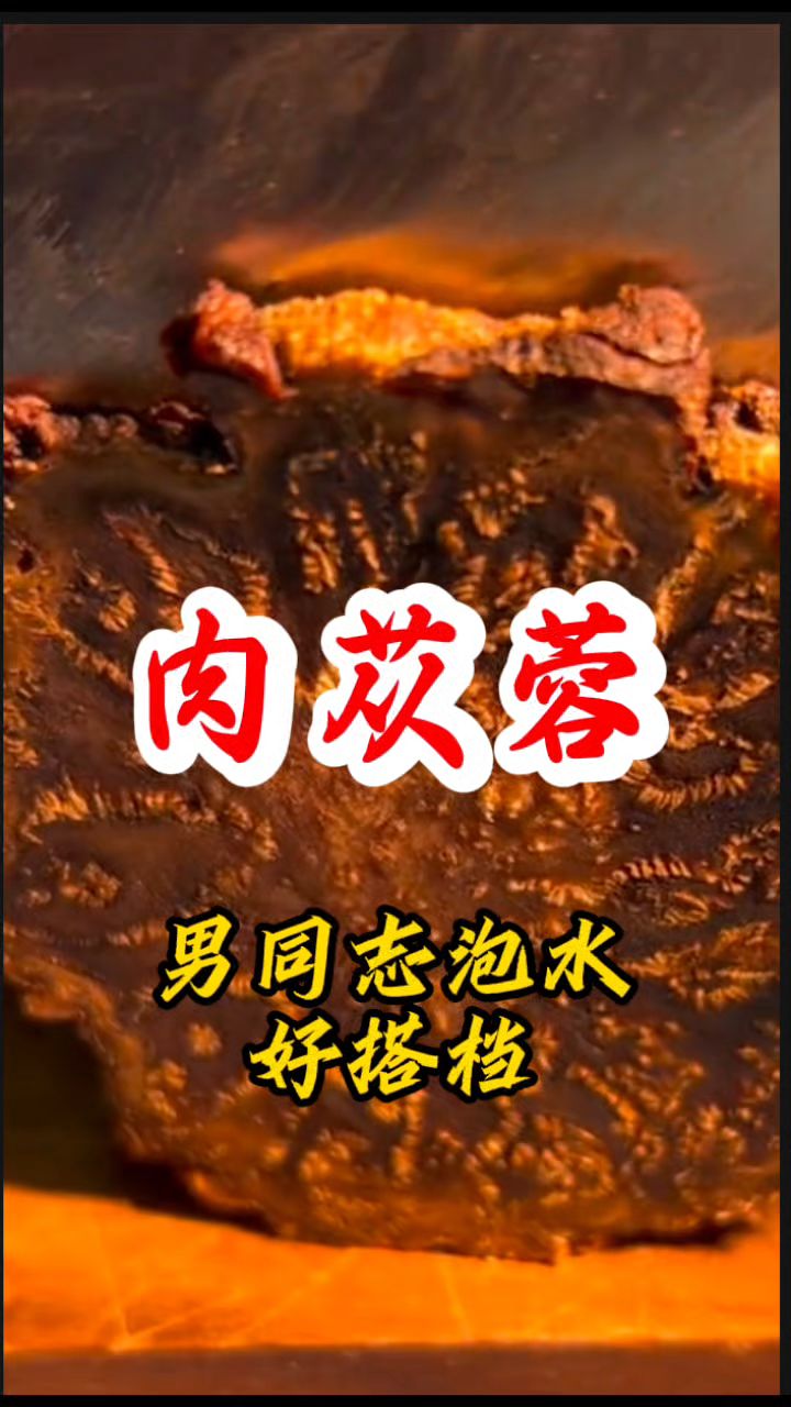 【肉苁蓉】煮茶方法分享给老铁们