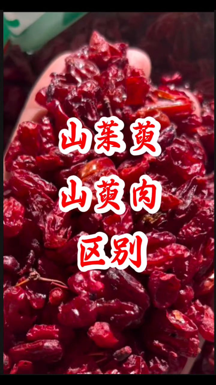 今日分享【山茱萸/山萸肉】区别
