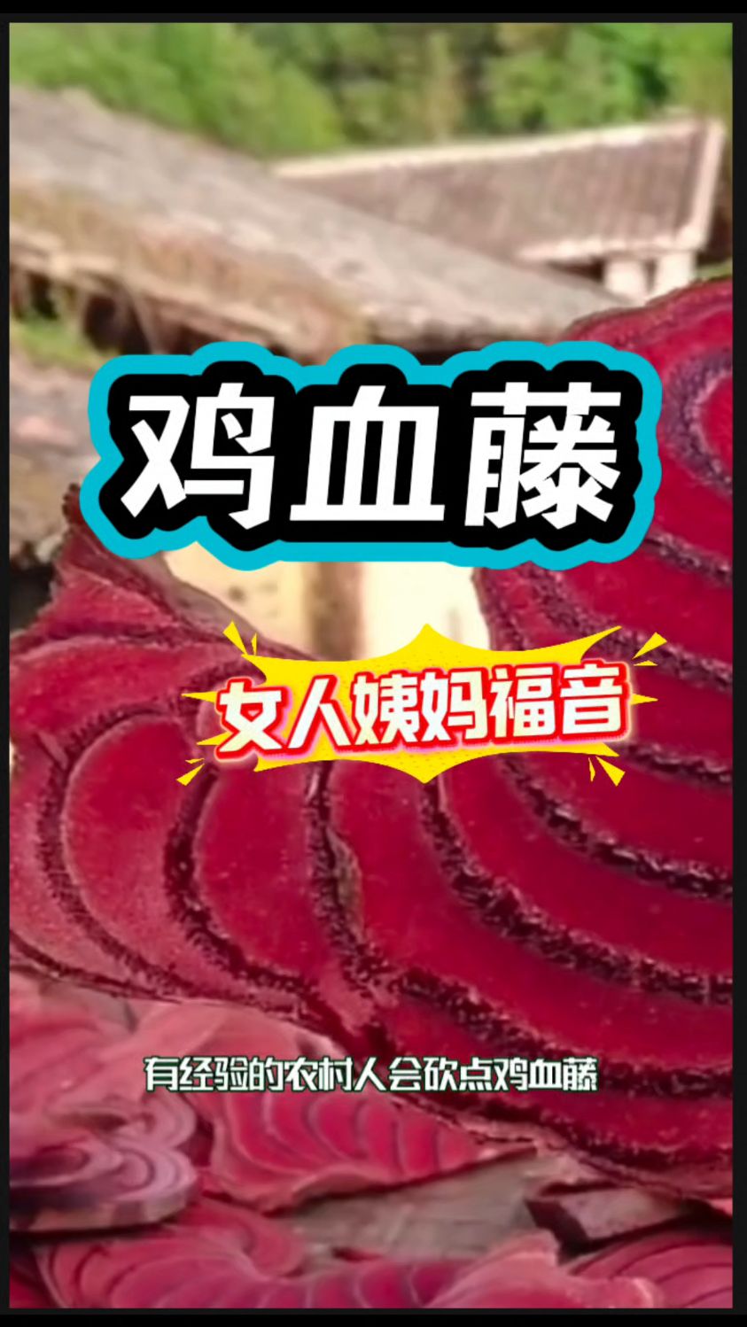 女人姨妈的好搭档【鸡血藤】