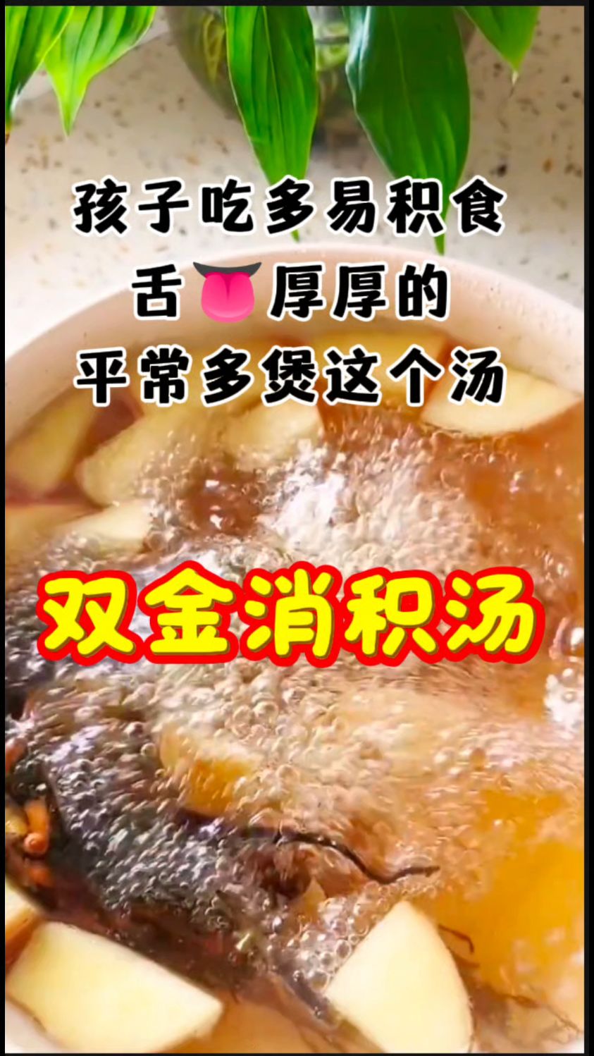 孩子吃多积食舌苔厚厚的,我常安排【双金汤】