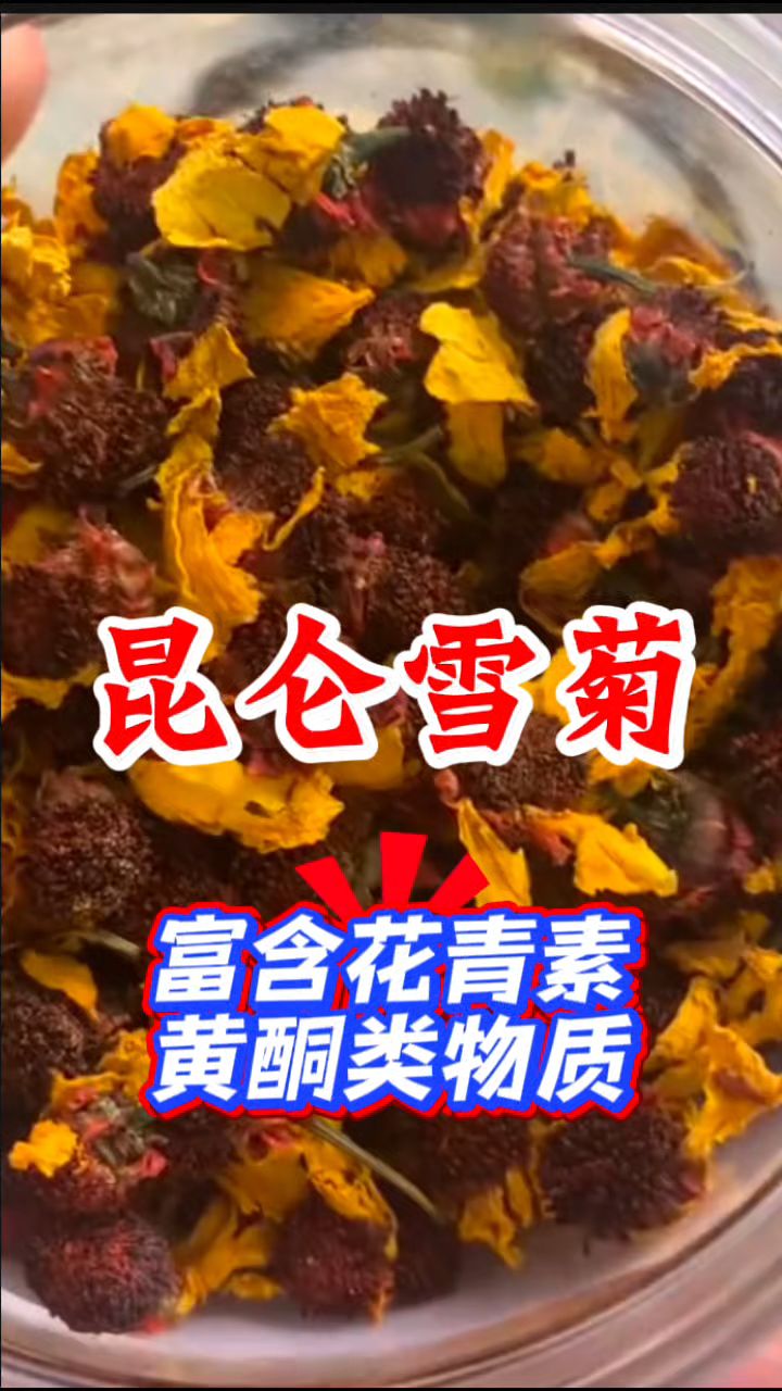 【昆仑雪菊】不平常的“菊花”