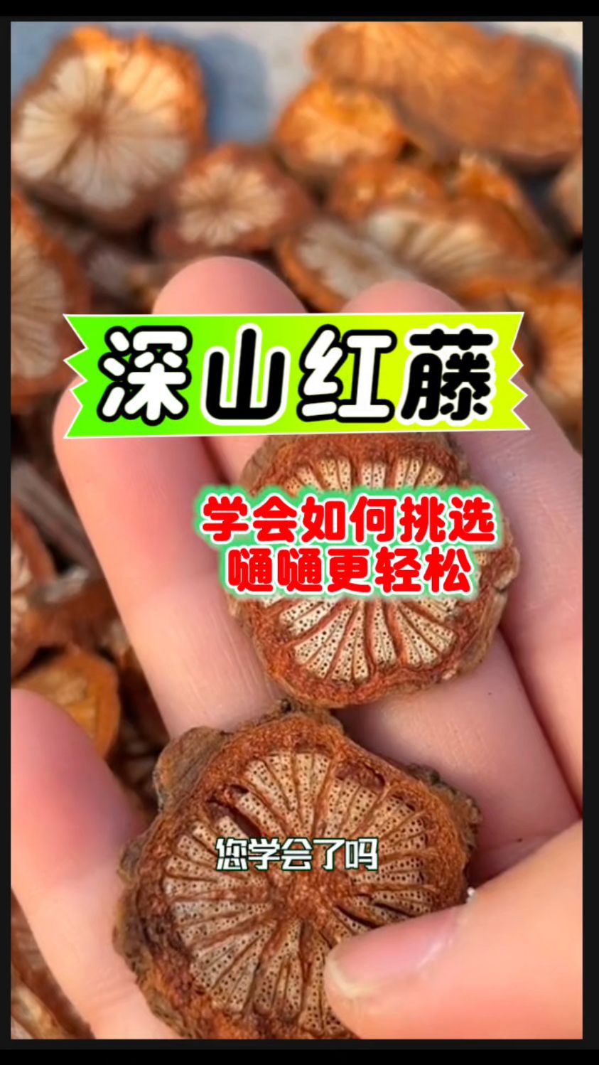 【红藤】学会怎么选了吗？