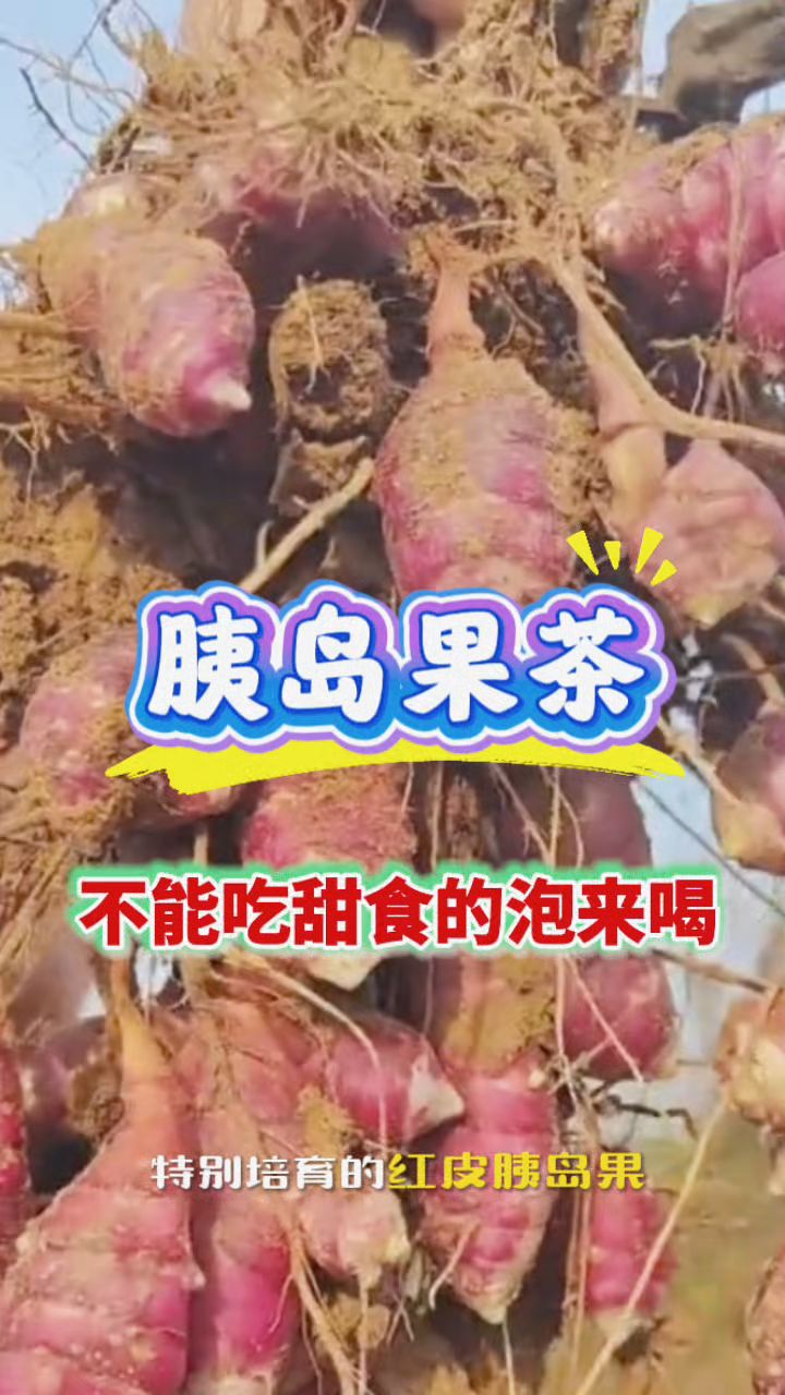 天然的胰岛果茶来了