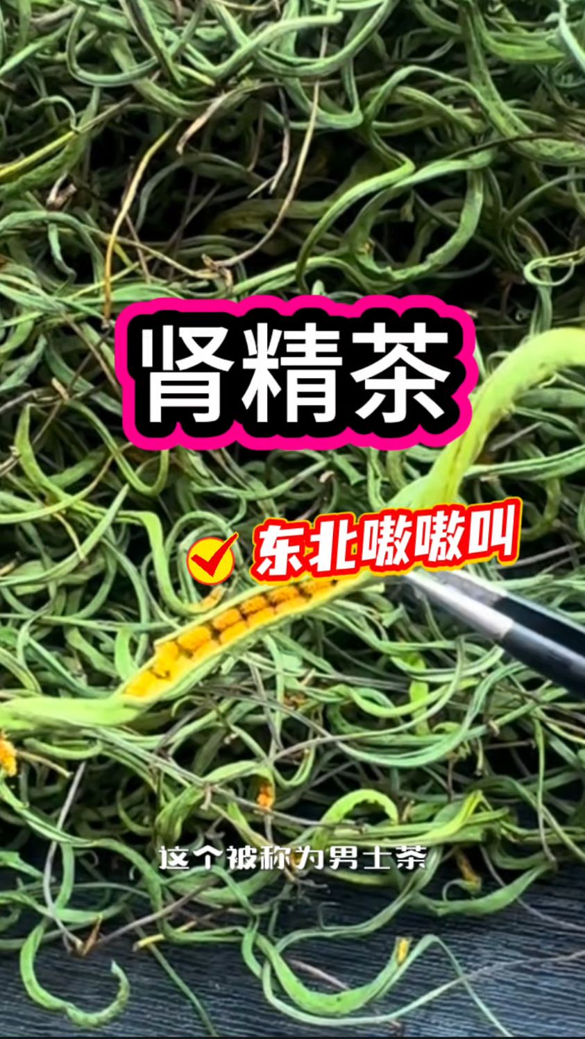“东北嗷嗷叫”肾精茶,也是男士茶
