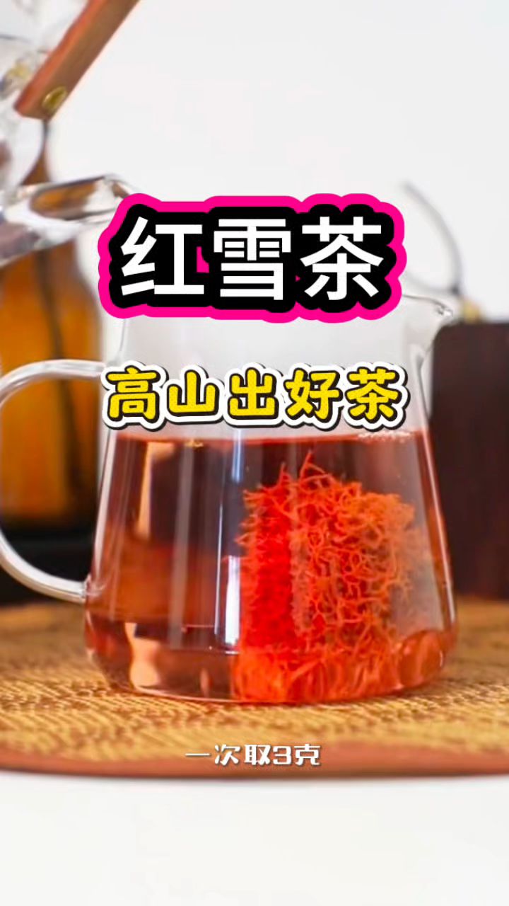高原上特有的——红雪茶