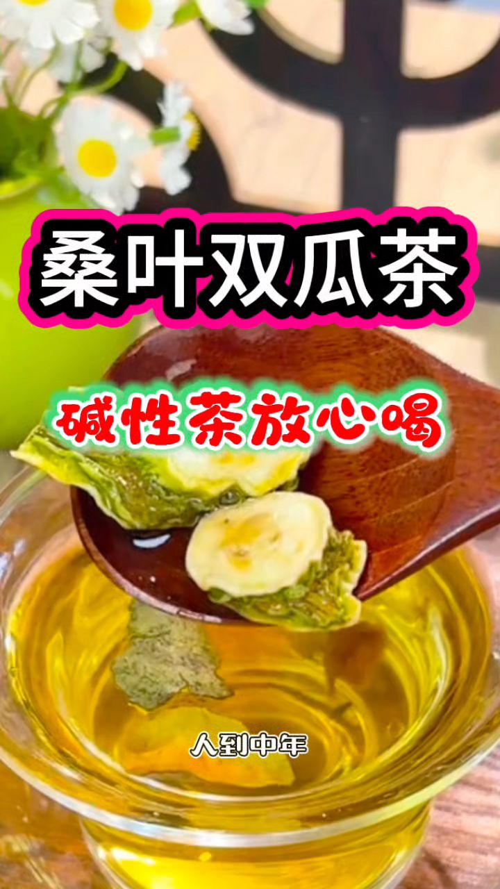 碱性桑叶+苦瓜+冬瓜搭配泡水喝很不错