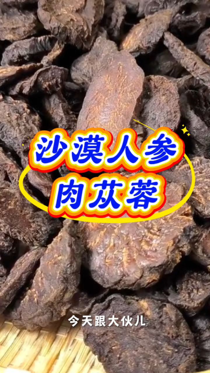 沙漠人参肉苁蓉，老大哥都很爱