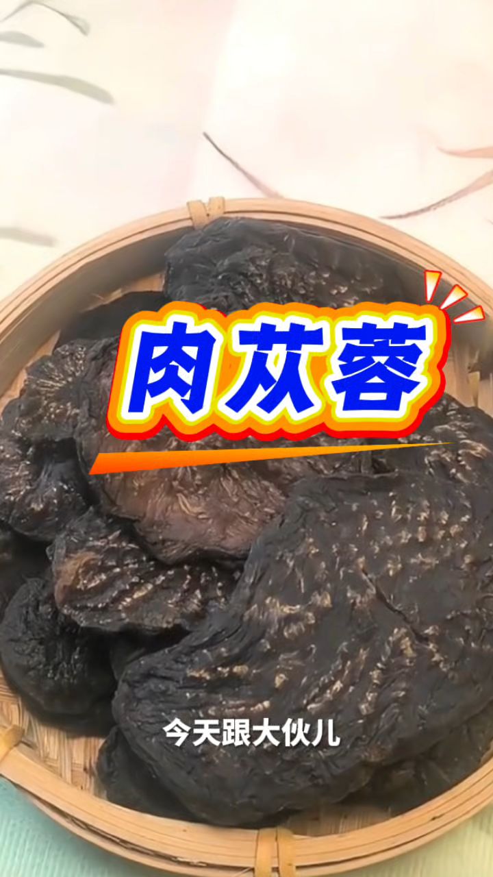 肉苁蓉泡水煲汤，养生很不错