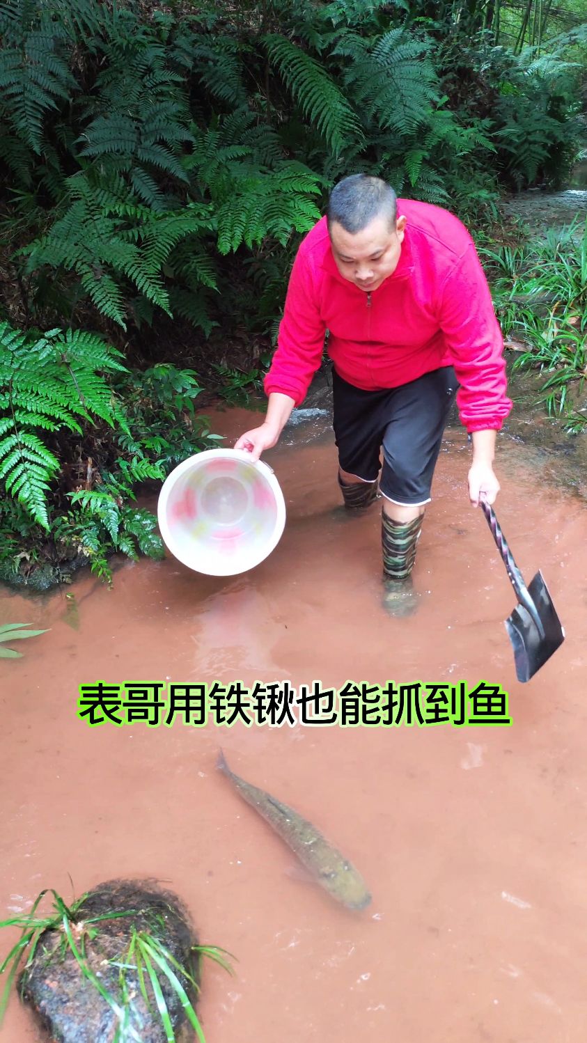 表哥用铁锹做抓鱼工具也能抓到鱼