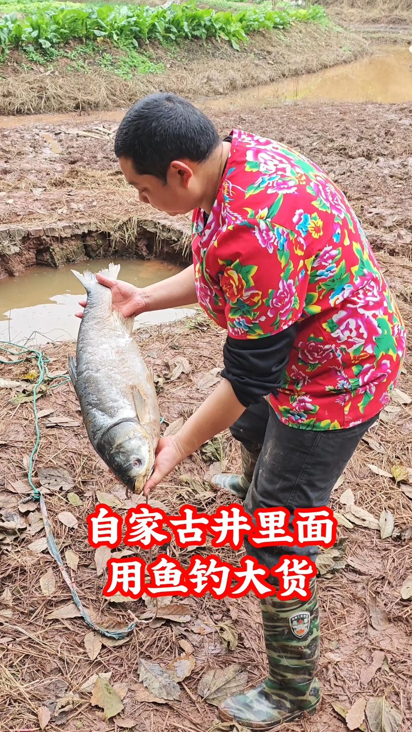 自家古井用鱼钓鱼