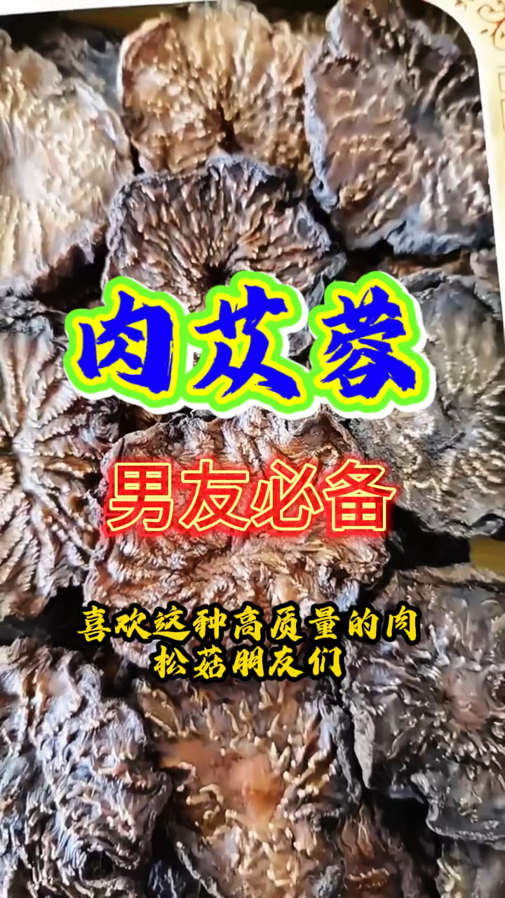 肉苁蓉你了解吗？