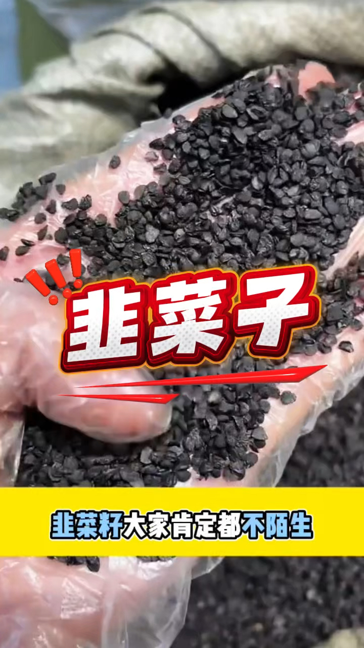 韭菜子大家肯定都不陌生,快来看看它的用处