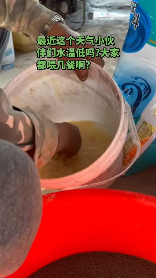 最近这个天气小伙伴们水温低吗#南美白对虾养殖#2026年虾价