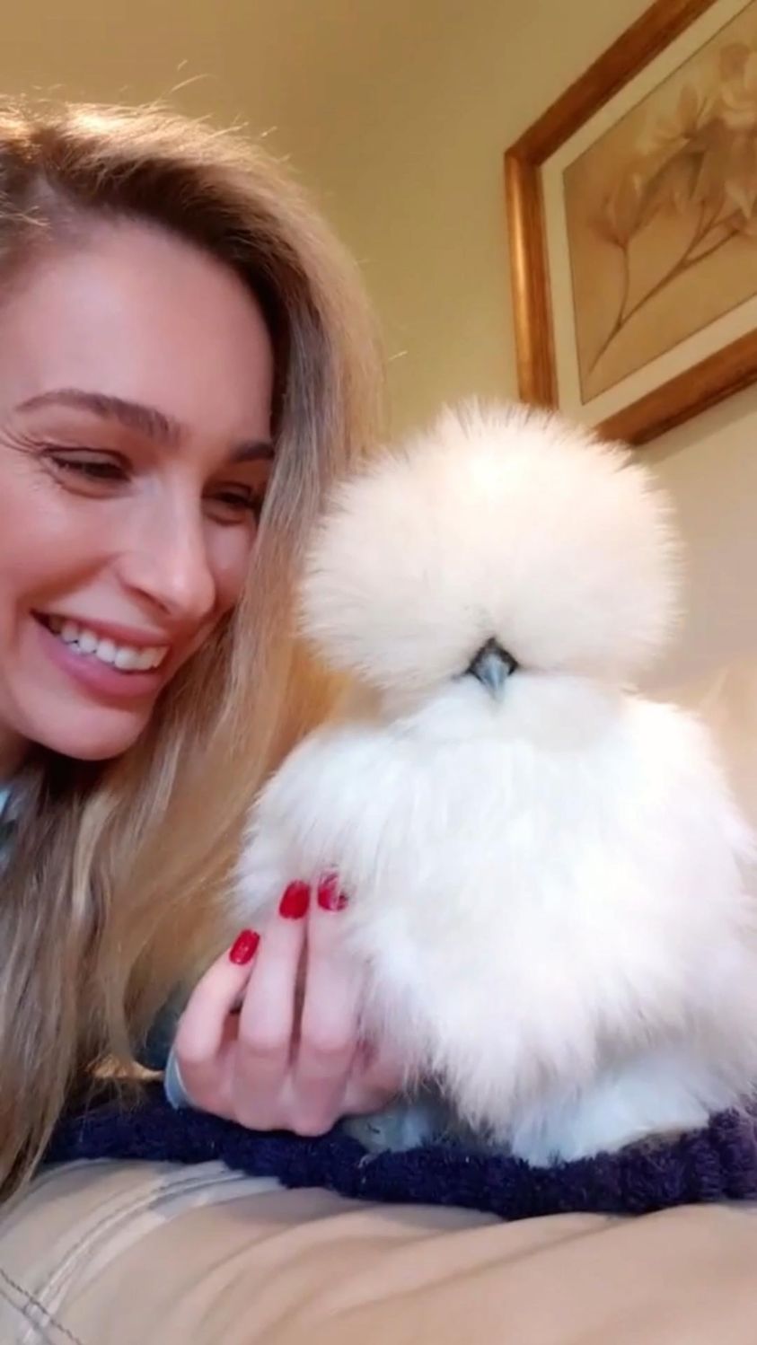 女子马路上捡到只小鸡,带回家后越养越不对劲,网友却说捡到宝了