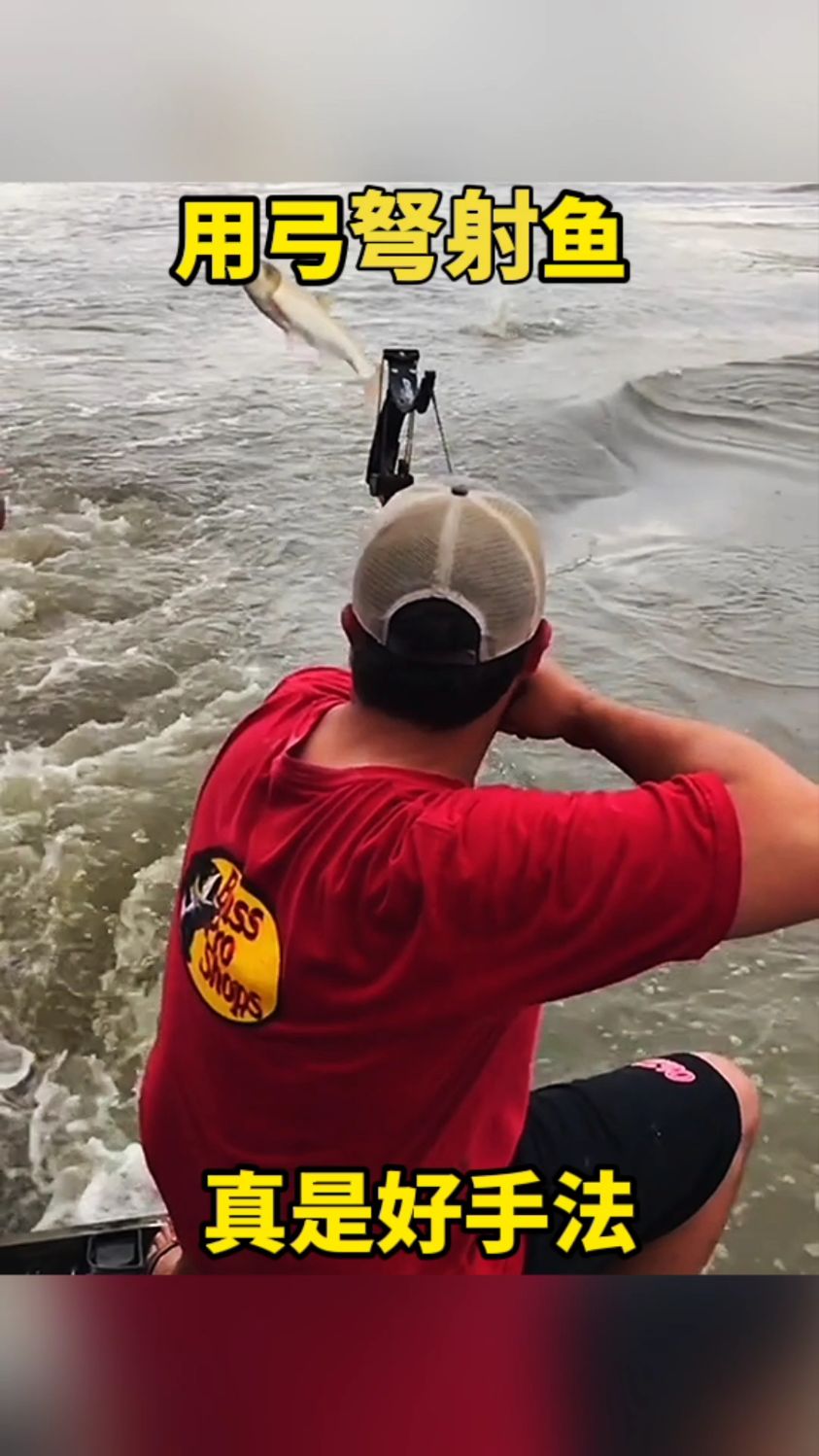用弓弩射鱼,真是好手法
