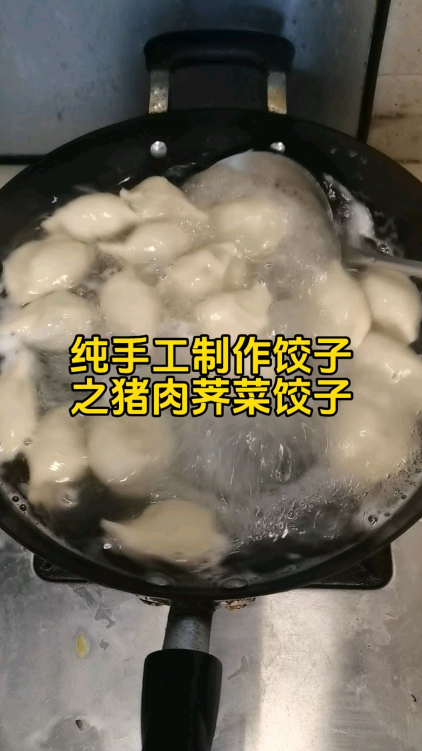 纯手工制作饺子之猪肉荠菜馅饺子