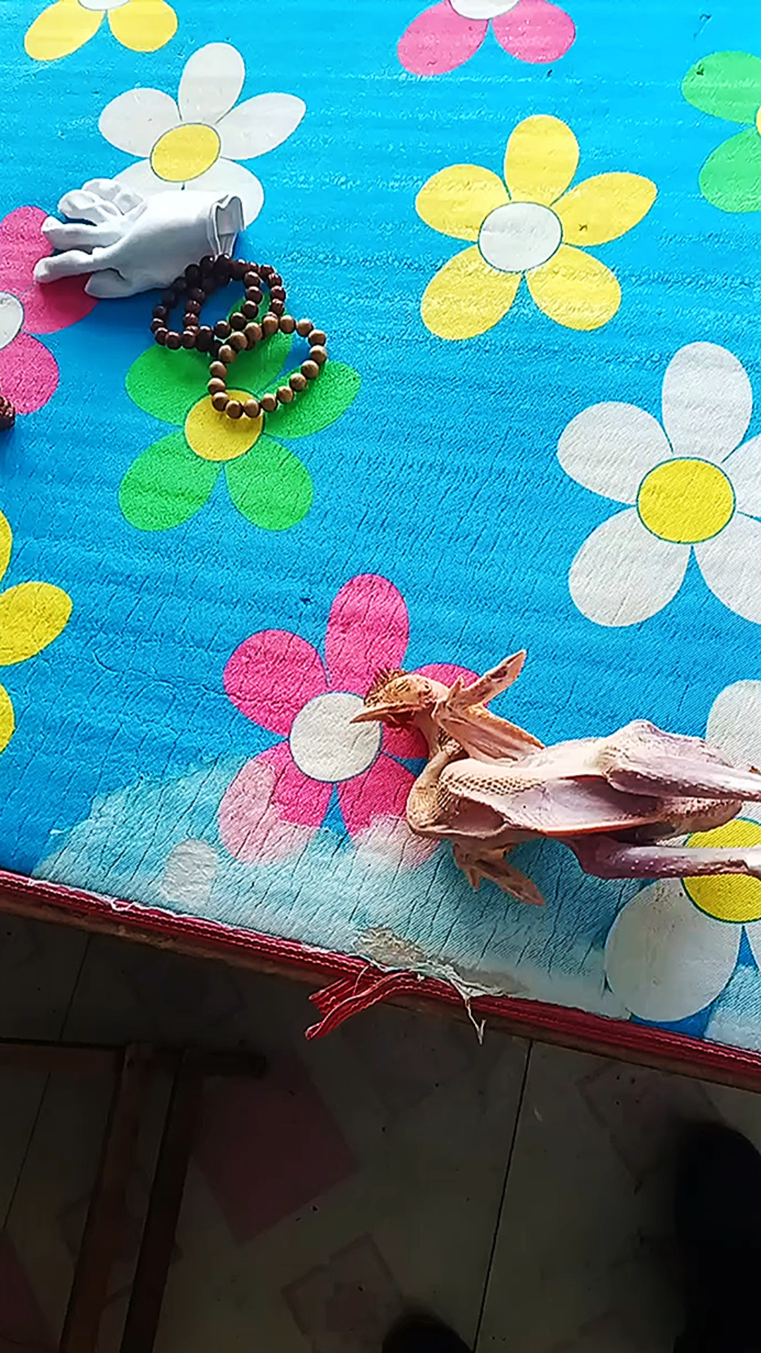 散养大公鸡,瘦肉型的