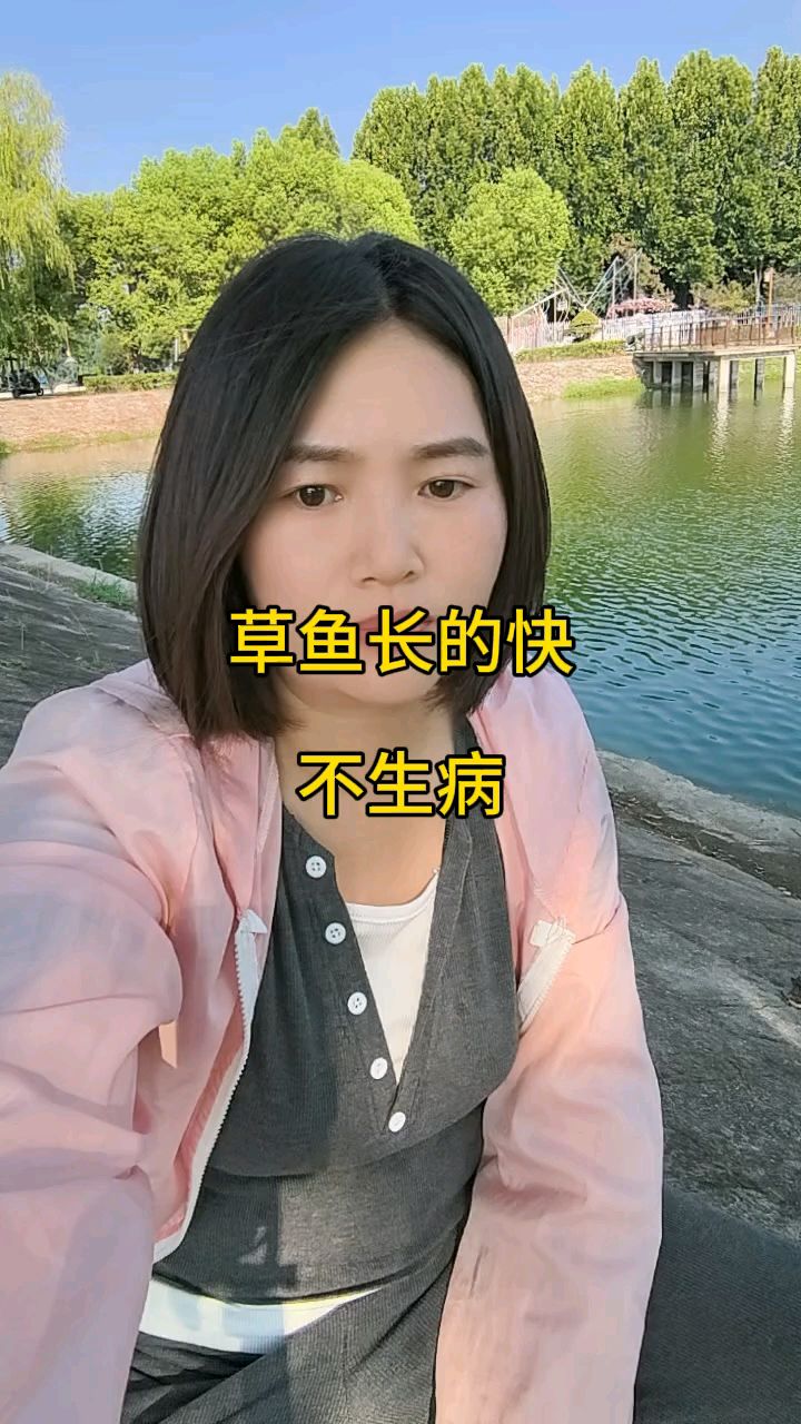 草鱼长得快,还不生病,不是动保