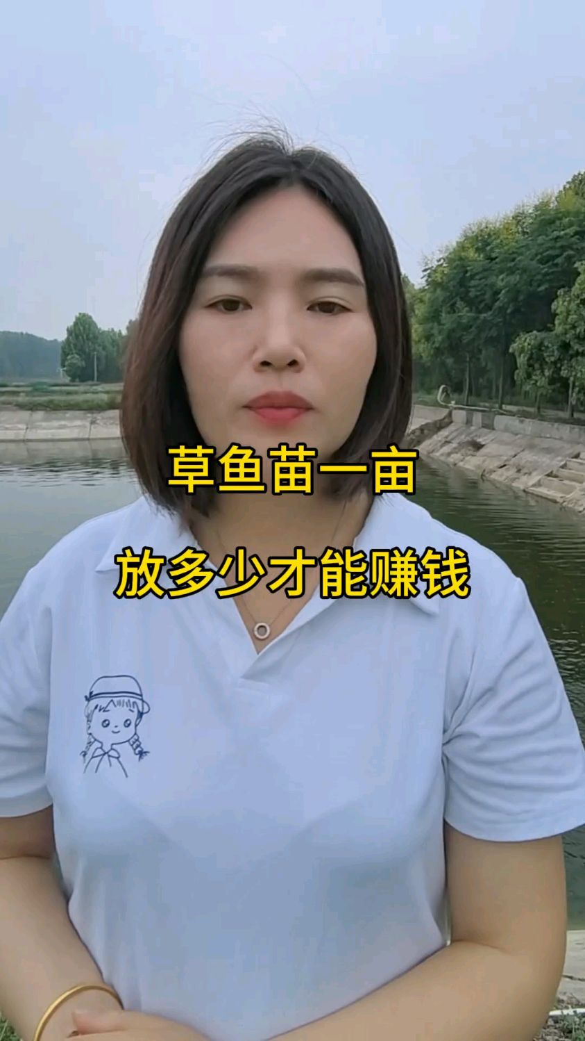 草鱼一亩放多少,能赚钱