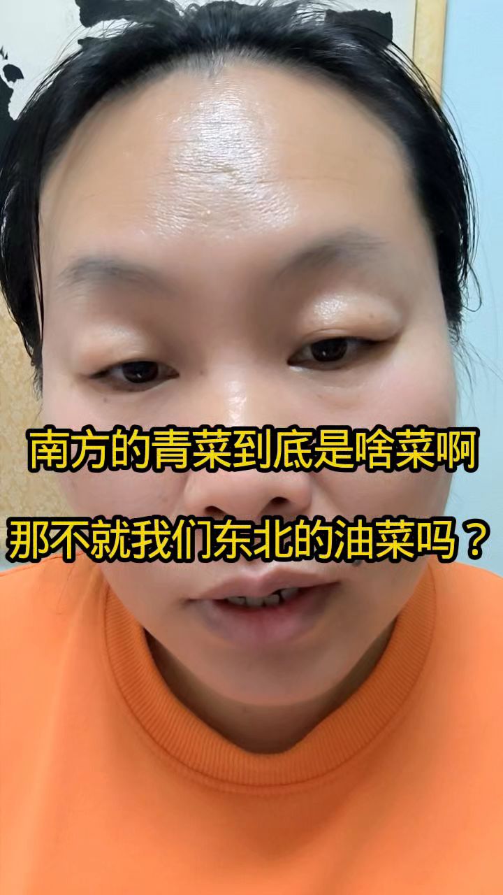南方的青菜到底是啥菜啊那不就我们东北的油菜吗?