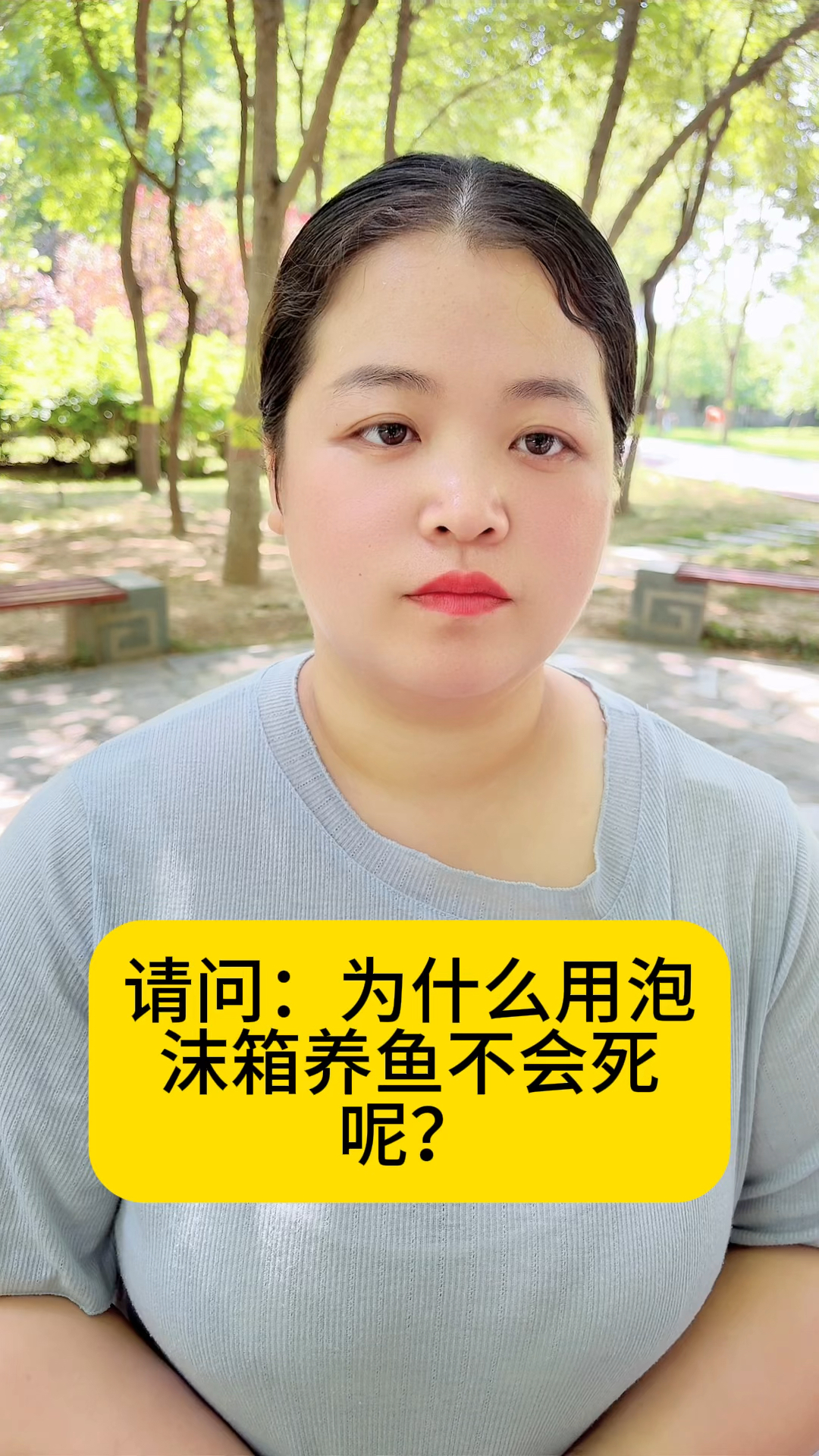 为什么用泡沫箱子养鱼不会死？