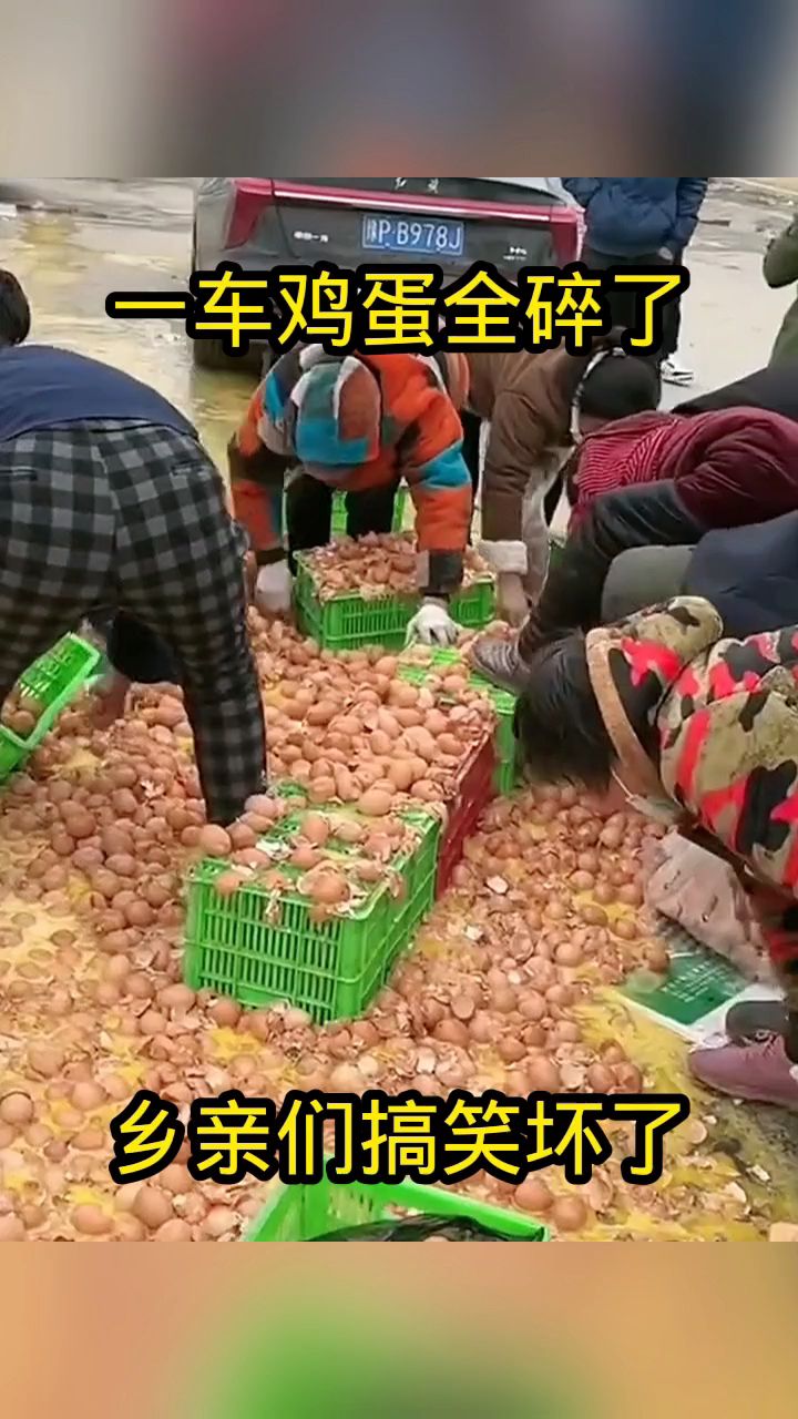 一车鸡蛋全碎了,乡亲们搞笑坏了!