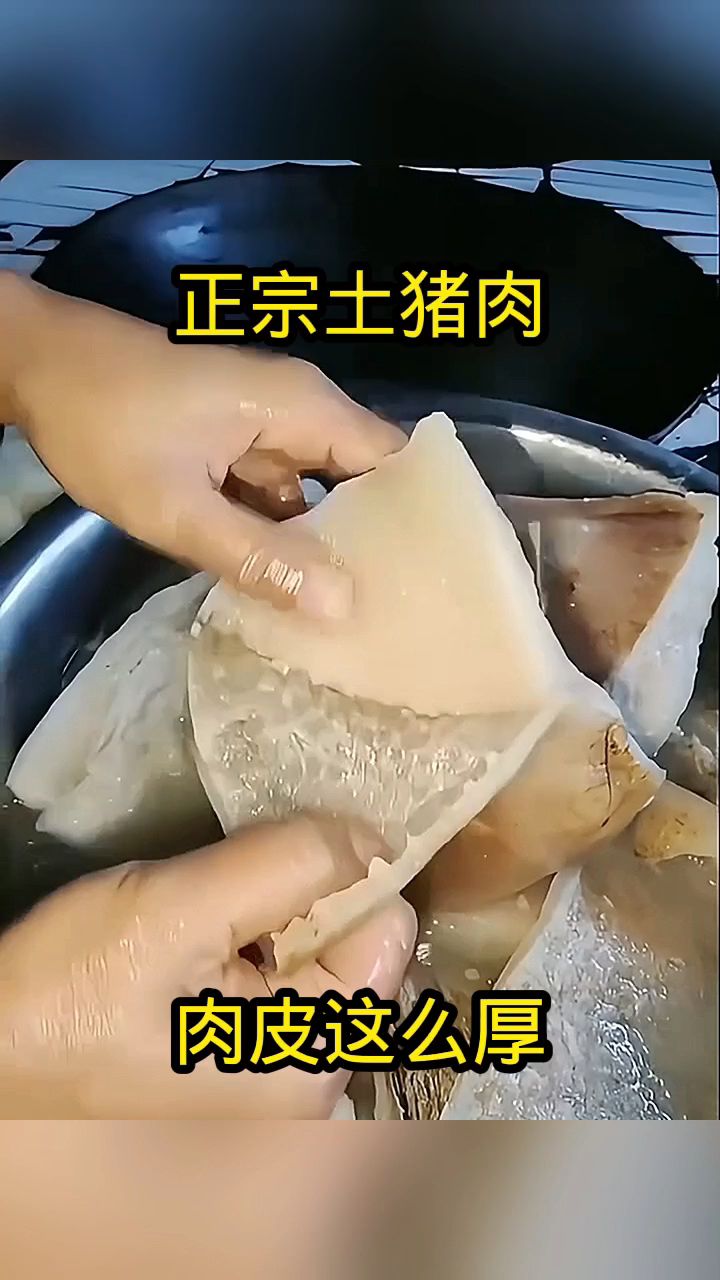 正宗土猪肉,肉皮这么厚!