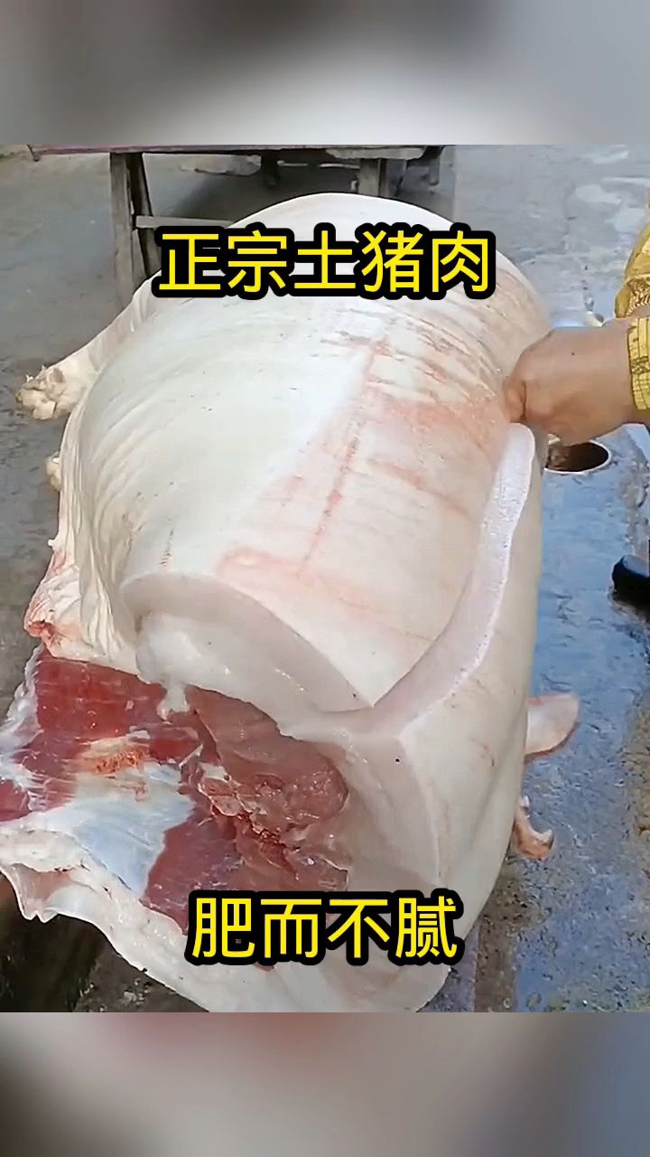 正宗土猪肉，肥而不腻！