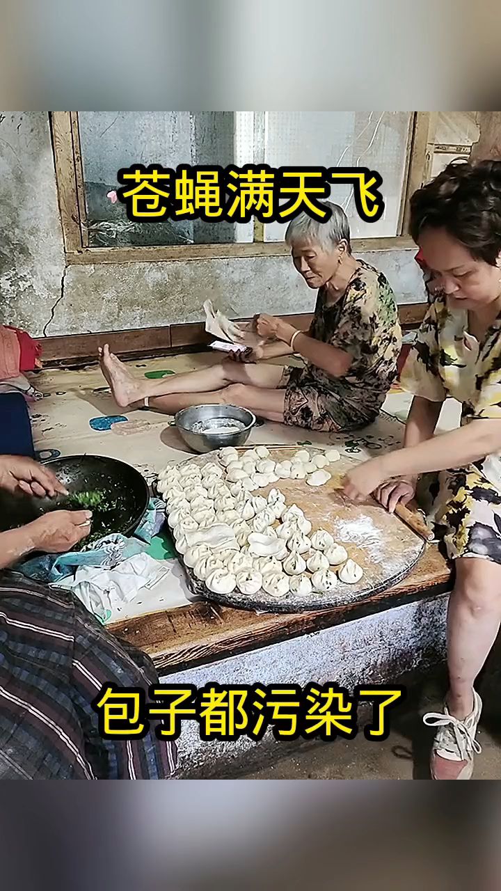 苍蝇满天飞,包子都污染了!