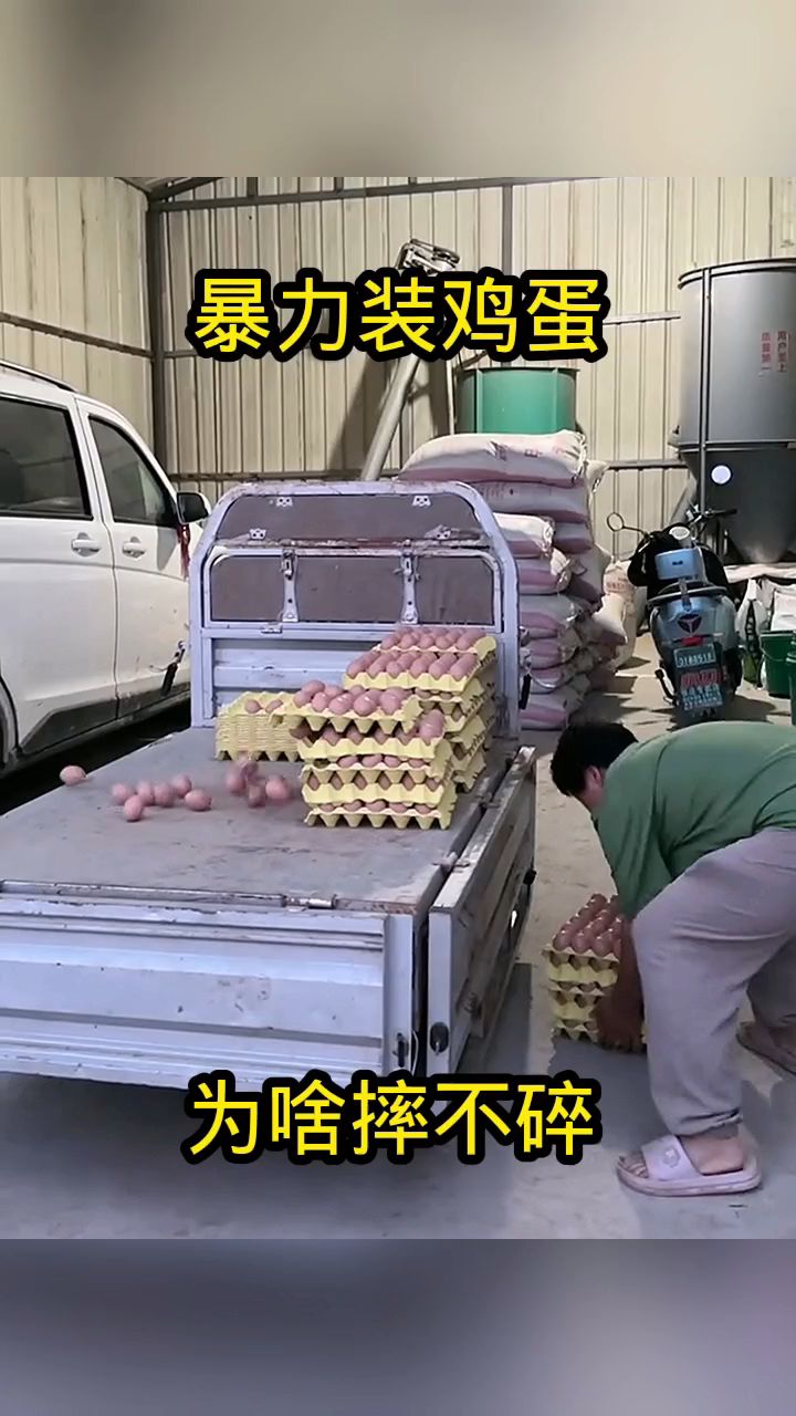 暴力装鸡蛋,为啥摔不碎!