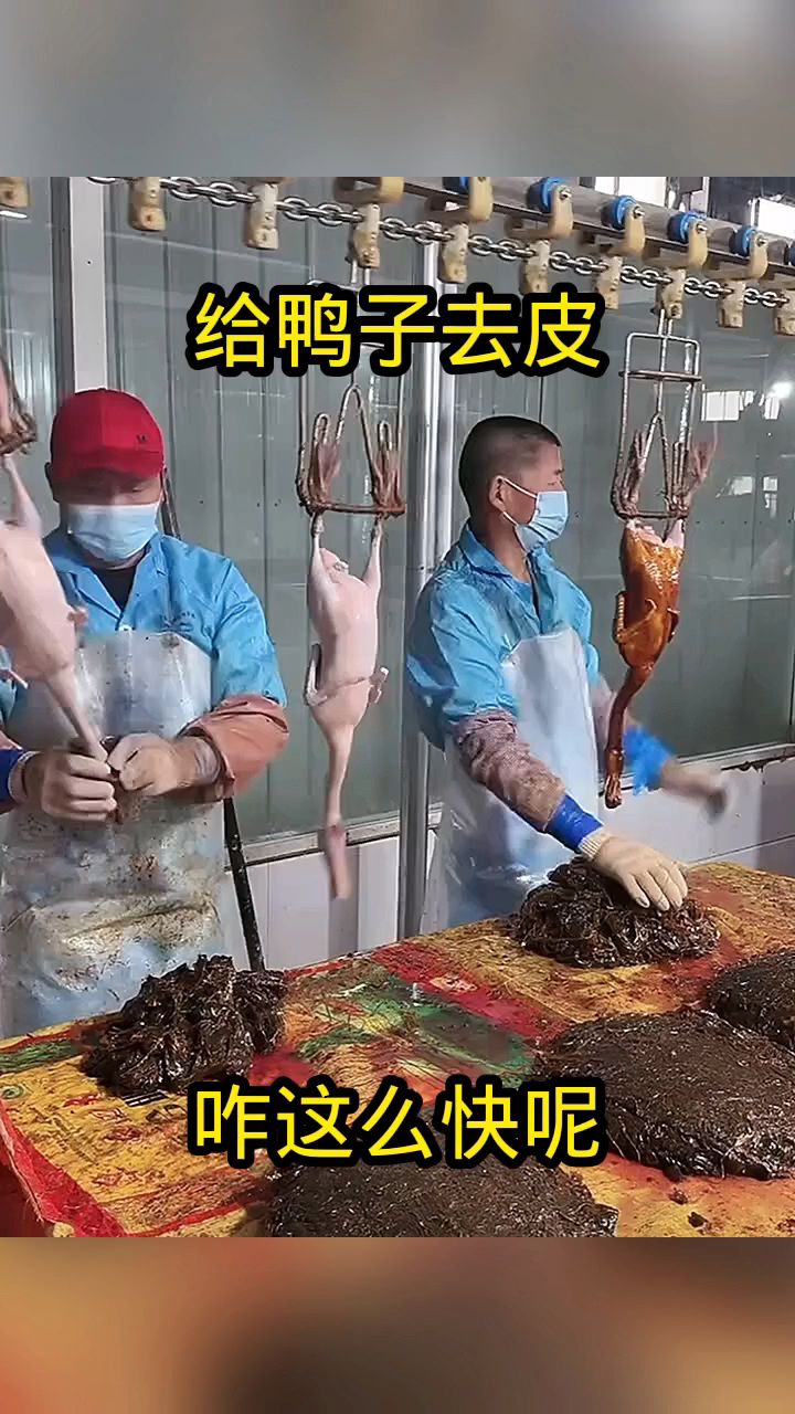 给鸭子去皮,咋这么快呢!
