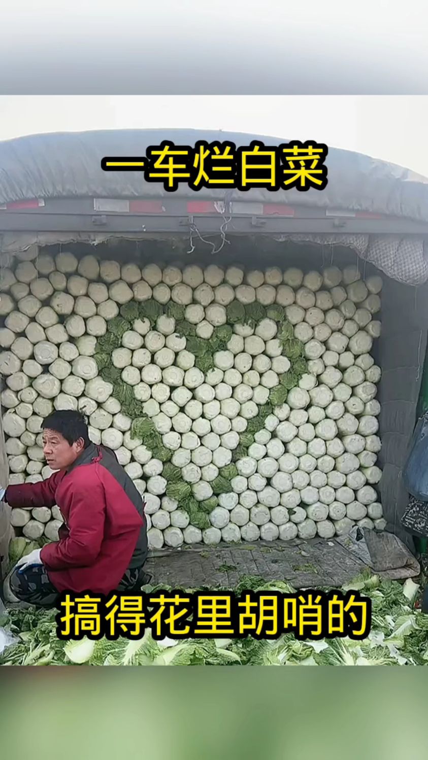 一车烂白菜,搞得花里胡哨的!